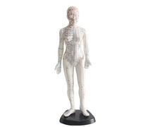Female Human Body Acupuncture Meridian Model(48cm), Human Acupuncture Point Model, 361 Pressure Points, Acupuncture Available, Base + Stand, for Teaching Aids, Learning Displays,A