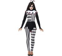 Female Jester Costume