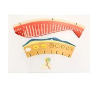 Female Menstrual Cycle Demonstration Model, Understand The Essence of Menstrual Cycle, Explore The of The Female Ovulation Process, for Female Reproductive Health Physiology Teaching