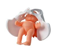 Female Pelvis Anatomy Model for Obstetrics and Gynecology