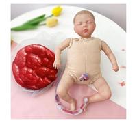 Female Pelvis Childbirth Modell with Baby Umbilical Cord Placenta Separable, Delivery Demonstration Pelvic Model Teaching Anatomy Model(Doll+placenta)