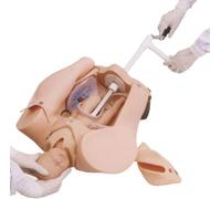 Female Pelvis Simulator for Childbirth Training, PVC Midwifery Model for Gynecology Education, Birthing Practice Aid, Realistic Anatomy Model for Healthcare Professionals