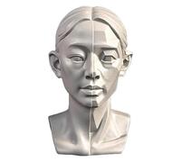 Female Planar Head Model for Drawing, Small Head Drawing Figure Mannequin, 3D Resin Manikin Head Sculpture for Artists Art Portrait Sketching, 4.5inch (Planar & Orginal)