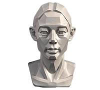 Female Planar Head Model for Drawing, Small Head Drawing Figure Mannequin, 3D Resin Manikin Head Sculpture for Artists Art Portrait Sketching, 4.5inch (Planar)