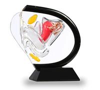 Female Uterus Vaginal Reproduction Model Medical Education Anatomy Gynecologist Transparent Uterus Model Anatomical Model Of Human Vagina