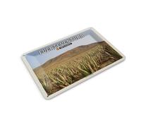 Femer Tin Postcard Travel 14 x 10 cm Fuerteventura Spain Aloe Vera Plantation