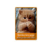 Femer Tin Sign Animals 20 x 30 cm Cats Baby Ich bin gar kein Löwe Decorative Sign