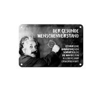 Femer Tin Sign Quote 12 x 18 cm Einstein Board of Common Sense Sign