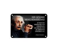 Femer Tin Sign Quote 12 x 18 cm Einstein the Common Sense Decorative Sign