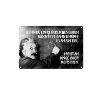 Femer Tin Sign Quote 20 x 30 cm Einstein Tafel knüpfe es an ein Ziel Decorative Sign