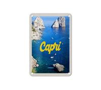 FEMER Tin Sign Travel 12 x 18 cm Retro Capri Italy Sea Mountains Decorative Sign