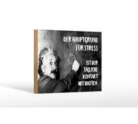 Femer Wooden Sign Quote 12 x 18 cm Einstein Chalkboard Main Reason for Stress Decorative Sign