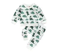 FeMereina Infant Toddler Baby Boy Valentines Day Outfits Heart Dinosaur Print Long Sleeve Sweatshirt with Elastic Waist Sweatpants (White, 18-24 Months)