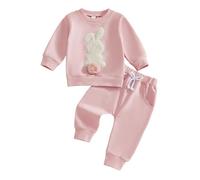 FeMereina Toddler Girl Boy Easter Outfit Long Sleeve Crew Neck Bunny Embroidery Sweatshirt and Elastic Waist Pants Set (Pink, 18-24 Months)