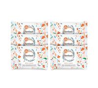 Femfresh Intimate Wipes - Flushable & Biodegradable Disposable Feminine Hygiene Vaginal Cloths with Calendula & Aloe Extracts - Freshening, Soothing, pH Balanced, Hypoallergenic - Pack of 6 x 25 Wipes