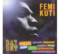Femi Kuti - Day By Day: Remixed Vol.1