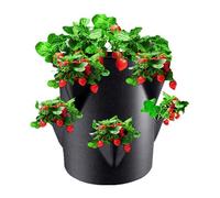 Fenayuu Strawberry Pots, Plant Pots with 6 Side Growing Pockets, Breathable Plant Growing Bag, Portable Non-Woven Fabric 7 Gallon Garden Planting Pot for Vegetables, Flowers, Fruits