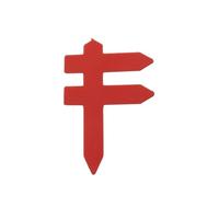 Fence-Shape Waterproof Plant Label Garden Orchard Succulent Insert Tag Classification Sign Vegetable Flower Marker Tool(Red)