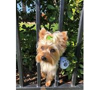FenceMate Small Dog Harness with Attached Balls Dog Collar to Prevent Escape Through Fence Openings (Medium) Fits Girth or Chest Size 19"-29" Improved Fence Blockers for Dogs