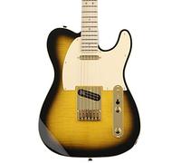 Fender 0255202532 Richie Kotzen Telecaster Maple Fingerboard Electric Guitar - Brown Sunburst
