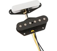 Fender '55/'56 Whiteguard Tele Set