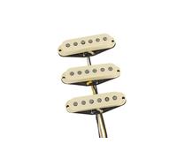 Fender Dual Mag II Strat Set