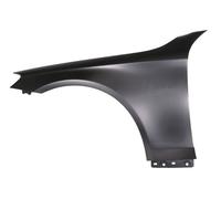 Fender Front Left Fits:Mercedes S-KLASA W222 05.13-04.17