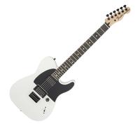 Fender Jim Root Telecaster Flat White
