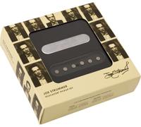 Joe Strummer Signature Telecaster Pickup Set