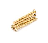 Fender Neck Mounting Screws Gold (4)