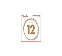 Fender Phosphor Bronze Acoustic Guitar Strings Ball 60-L End Light - 12-53