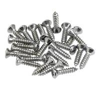 Fender Pickguard/Control Plate Mounting Screws 24 Chrome