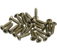 Fender Road Worn Pickguard/Control Plate Screws Nickel (24)