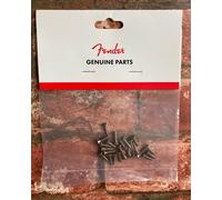 Fender Road Worn Pickguard Screws / Scratchplate / Control Plate Aged Nickel x24