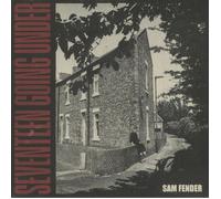 Sam Fender - Seventeen Going Under [VINYL]