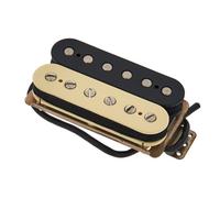 Fender Shawbucker 2 Pickup Zebra