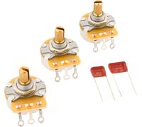 Fender Stratocaster Poti & Cap Kit
