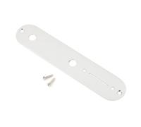 Fender Telecaster Control Plate 2 Hole Chrome
