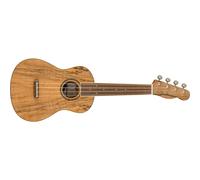 Fender Zuma Exotic Concert Ukulele, Walnut Fingerboard in Spalted Maple