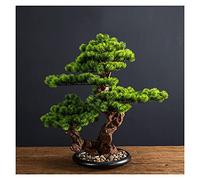 Feng Shui， Artificial Trees 17 Inch Artificial Pine Bonsai Tree， Chinese Zen Home Lucky Decorations Fake Plants， Artificial Plants for Home Office Indoor Decor Potted plants