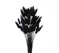 FENGCHUANG 17’’ Natural Bunny Tails Dried Flowers 50 Pcs Dried Lagurus Ovatus, Dried Pampas Grass Decor for Farmhouse Flower Arrangements Wedding Home Craft Boho Party Decorations (Black)