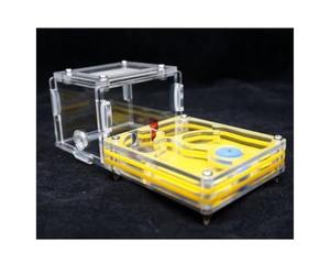 FENGJISUN Ant Farm Ant House Ant Ant Farm Creative Maze Design Ant Workshop Villa Insect Glass Container Ant Farm For Adults