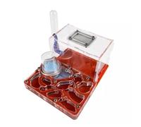 FENGJISUN Ant Farm Ant House Ant Farm Acrylic Ant Castle Breeding Hydrating Nest Science Observation DIY Ant Nest Farm Ant Science Kit Ant Farm For Adults(Rosso)