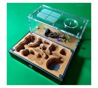 FENGJISUN Ant Farm Ant House Ant Farm Ant House For Ant Farm Study Of Ant Behavior Ant Nest Ant Terrarium Educational Formicarium Ant Farm For Adults