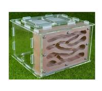 FENGJISUN Ant Farm Ant House Ant Farm Habitat Ant House With Feeding Area Ant Nest Farm Workshop Ant Castle Ant Farm For Adults(B)