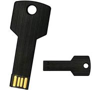 Fenglangrong 10Pack 2GB 2G USB Flash Drive Metal Key Design Metal Key Shaped Memory Stick USB 2.0 (2GB, Black)