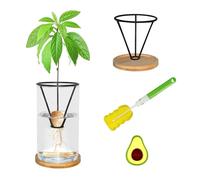 FENGSHOUNIAN Avocado Plant Germination Kit with Glass Vase, Bamboo Base, and Metal Stand for Growing Avocado Tree from Seed