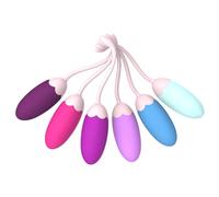 FENHUA Kegel Exercise System-Pelvic Floor Strengthening- Set of 6 Premium Silicone Kegel Exercise Weights & Control with Training Kit for Women: Beginners & Advanced
