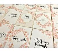 FenleyDesigns Blossom IVF Milestone Cards