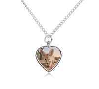 Fennec Fox Digging Pet Urn Necklace for Dog Cat Ashes Heart Cremation Keepsake Pendant Memorial Jewelry Gifts for Women Men